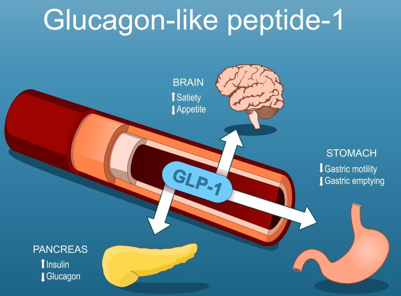 Obat GLP-1 agonis